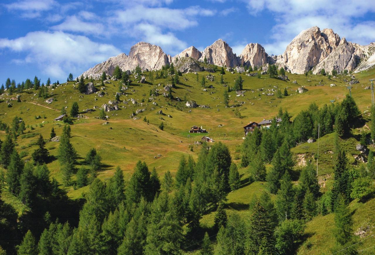 Wat zijn de beste hotels in de buurt van Museo Vittorino Cazzetta? Selva di Cadore Buitenkant foto